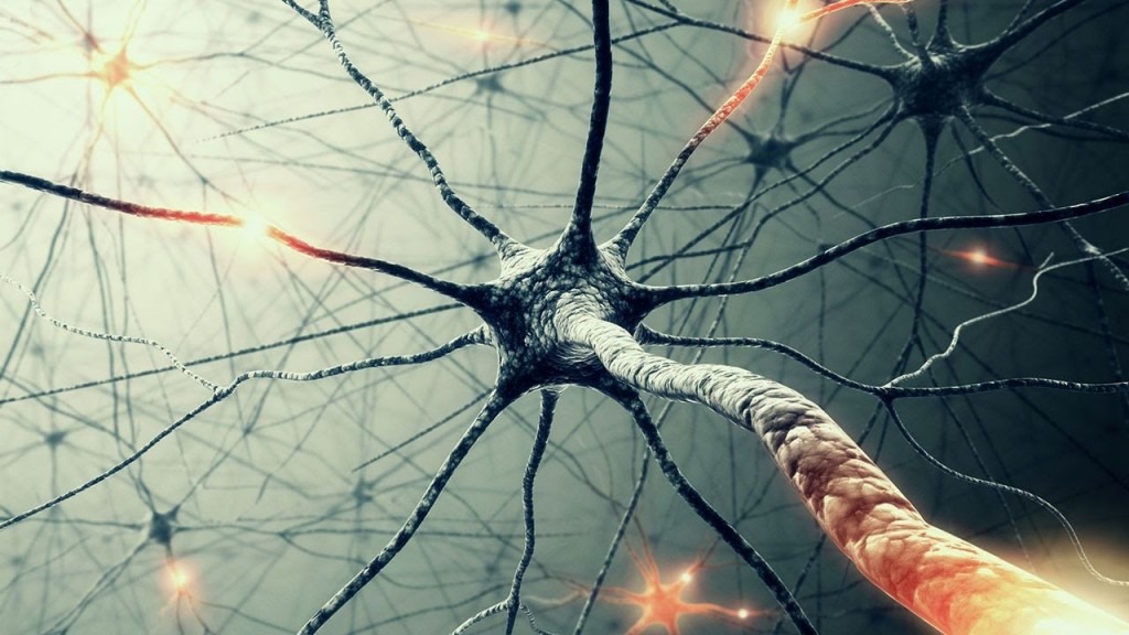 My Brain Is Not Firing On All Neurons – Auxiliary Memory